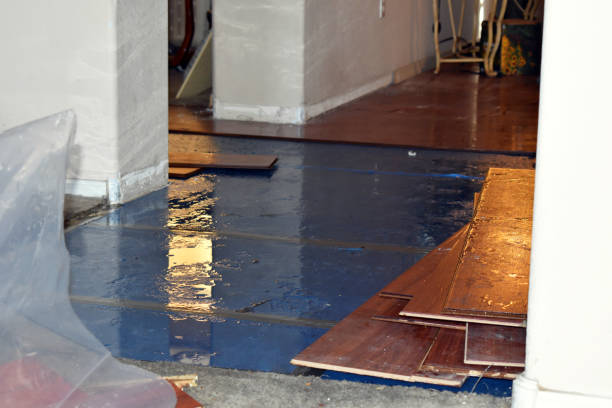 Professional Flood Damage Restoration technician working in Hamler, OH